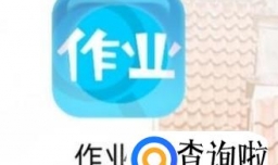 作业通怎么用？