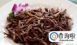 几种常见的昆虫大餐