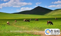 到内蒙古旅游需要注意什么问题