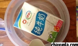 怎么煮牛奶