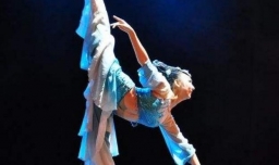 古典舞分类有哪些种类