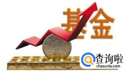 怎么选择长期定投的基金