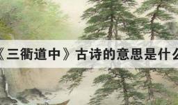 三衢道中古诗的意思是什么