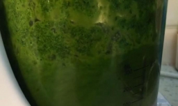 婴儿辅食 菠菜面条的做法