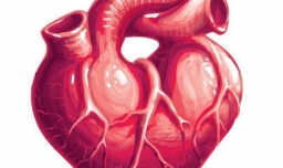 心脏骤停的病因是什么