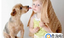 狗狗为什么喜欢舔主人的脸