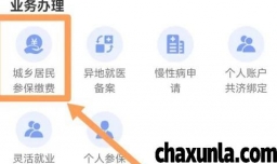 阜阳医疗保障如何缴费