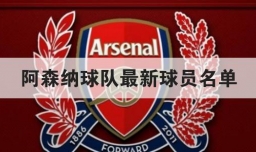 阿森纳球队最新球员名单