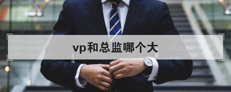 vp和总监哪个大