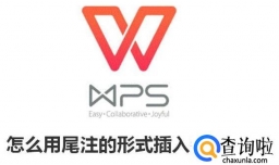 怎么用wps尾注的形式插入参考文献