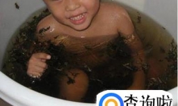 小孩艾叶泡澡怎么泡