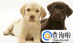 为什么说男不养猫女不养狗