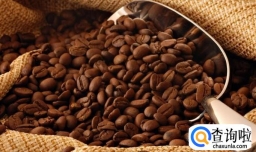 咖啡染发全过程及效果