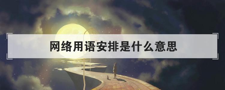 网络用语安排是什么意思