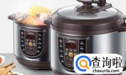 电压力锅哪个牌子好，电压力锅十大畅销排行