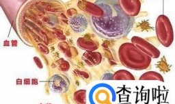 引起血液病的原因