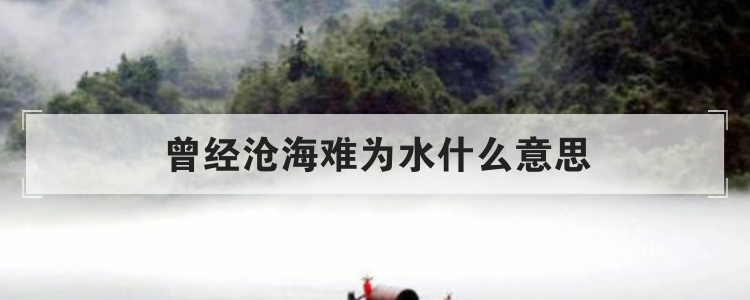 曾经沧海难为水什么意思