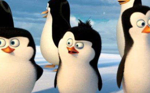 企鹅是哺乳动物吗