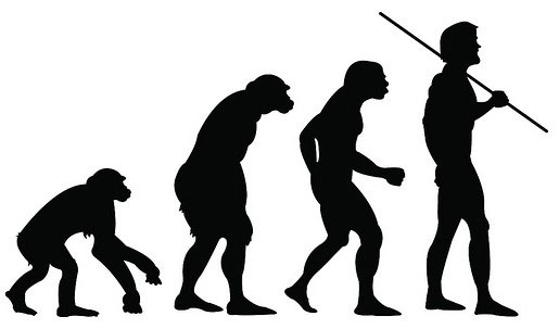 作为高等动物的人类大约出现在多少万年前