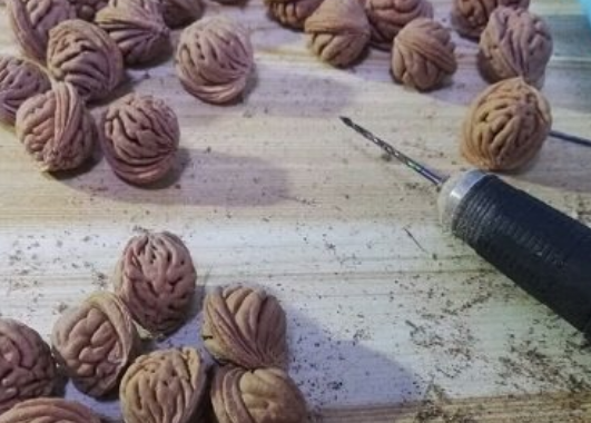 桃核什么时候采摘可以做成手串