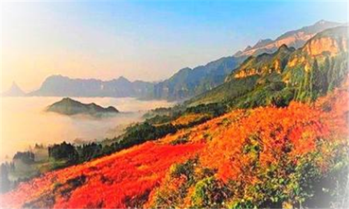 重庆景点排行榜前十名