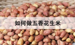 如何做五香花生米