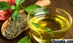 橄榄油有哪些作用