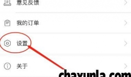 怎样给环球时报APP评分