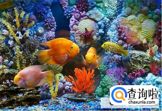 国外拍婚纱照去哪里拍好