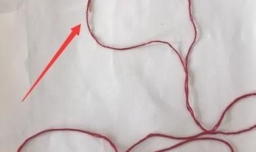 十字绣正面埋线图解教程