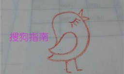 画鸟的方法（超简单，又好看）