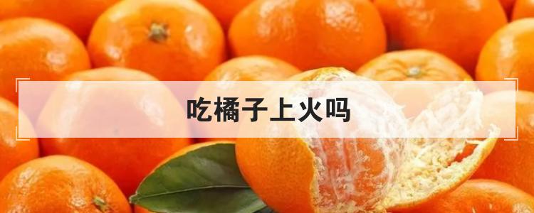 吃橘子上火吗br