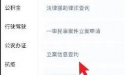 有没有被起诉网上如何查询