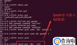 Redis中如何操作List数组