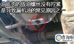 汽车发动机漏润滑油是什么原因
