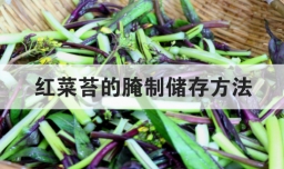 红菜苔的腌制储存方法