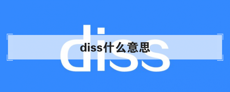 diss什么意思