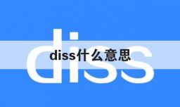 diss什么意思