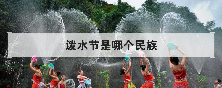 泼水节是哪个民族