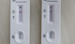 新冠抗体检查有必要做吗（意义并不是特别的大）