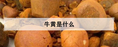 牛黄是什么