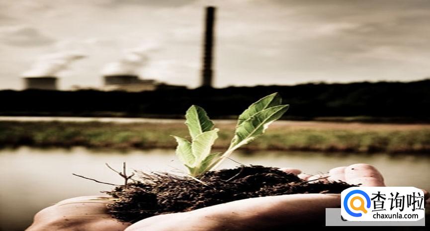 植物吸收污染物的原理是怎么样的