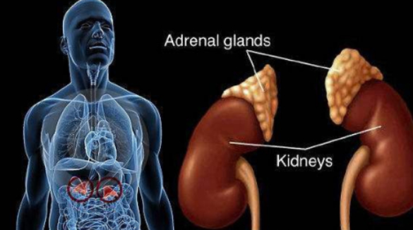 嘴唇发紫是什么原因