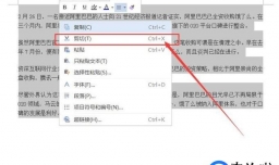 网上复制到word里的文字怎样去掉背景色？