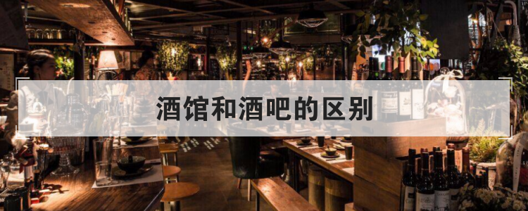 酒馆和酒吧的区别
