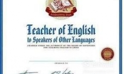 外教需要什么证书