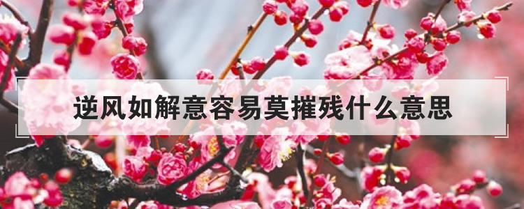 逆风如解意容易莫摧残什么意思
