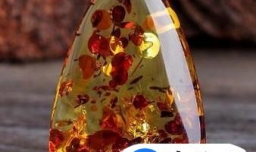 琥珀的种类及相应图片