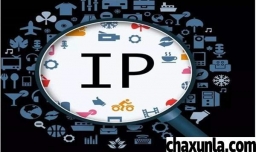 什么是ip