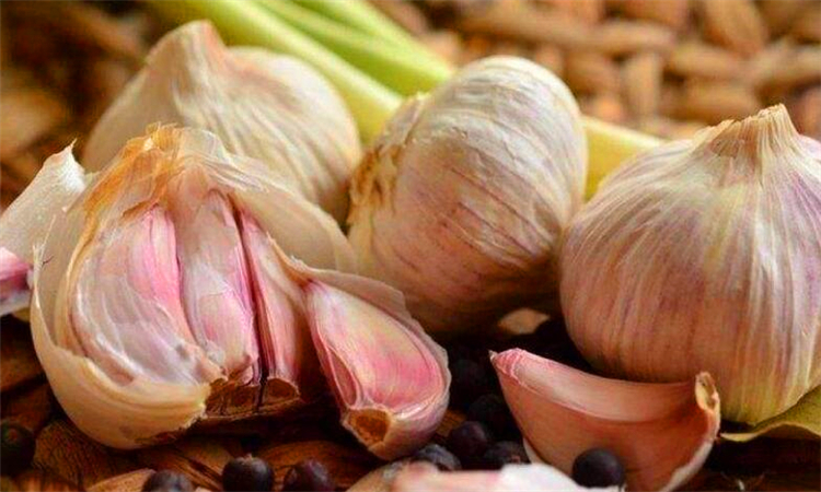 大蒜酵素的功效